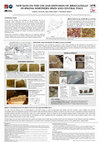 Research paper thumbnail of New Data on the Use and Diffusion of Broccatello di Spagna: Northern Spain and central Italy