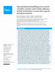 Musculoskeletal modelling of an ostrich (Struthio camelus) pelvic limb: Influence of limb orientation on muscular capacity during locomotion.  Cover Page