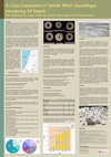 Research paper thumbnail of A Cross Examination of Spindle Whorl Assemblages: Introducing Tel Yaqush