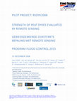 Research paper thumbnail of Strength of peat dykes evaluated by remote sensing : Pilot project Program Flood Control 2015, RSDYK2008