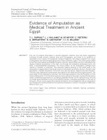 Research paper thumbnail of Evidence of amputation as medical treatment in ancient Egypt