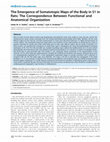 Research paper thumbnail of The Emergence of Somatotopic Maps of the Body in S1 in Rats: The Correspondence Between Functional and Anatomical Organization