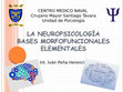 Neuropsicología Cover Page