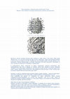 Research paper thumbnail of Chess Continuum-Being the Game and the Game's Game