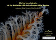 Marine Invertebrates of the Adelaide and Mt Lofty Ranges NRM Region – Examples of the Weird and the Wonderful.  Cover Page