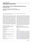 Corpus Callosum Anatomy in Right-Handed Homosexual and Heterosexual Men Cover Page