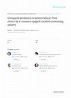 Research paper thumbnail of Intraguild predation in winter wheat: prey choice by a common epigeal carabid consuming spiders