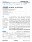 Research paper thumbnail of Distribution and compartmental organization of GABAergic medium-sized spiny neurons in the mouse nucleus accumbens