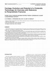 Research paper thumbnail of Cerclage, evolution and potential of a Cinderella technology. An overview with reference to periprosthetic fractures