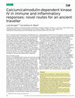 Research paper thumbnail of Calcium/calmodulin-dependent kinase IV in immune and inflammatory responses: novel routes for an ancient traveller