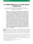 Research paper thumbnail of The CaMKK2/CaMKIV relay is an essential regulator of hepatic cancer