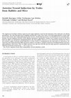 Research paper thumbnail of Anterior Neural Induction by Nodes from Rabbits and Mice