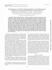 Research paper thumbnail of Identification of nitrite-oxidizing bacteria with monoclonal antibodies recognizing the nitrite oxidoreductase