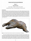 Çatalhöyük Human Remains Archive Report 2014 Cover Page