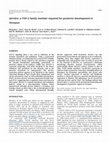 Research paper thumbnail of Sun, B. I. et al. derriere: a TGF- family member required for posterior development in Xenopus. Development 126, 1467 -1482