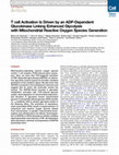 Research paper thumbnail of T cell Activation Is Driven by an ADP-Dependent Glucokinase Linking Enhanced Glycolysis with Mitochondrial Reactive Oxygen Species Generation