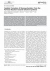 Research paper thumbnail of Catalytic formation of monosaccharides: from the formose reaction towards selective synthesis