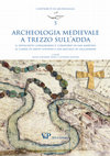 Archeologia medievale a Trezzo sull'Adda: Pratiche di seppellimento a San Michele in Sallianense Cover Page