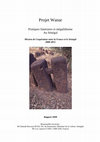 Research paper thumbnail of WANAR Interim Report 2008 - Mégalithismes sénégambiens : un patrimoine exceptionnel sur le continent africain - vol. I