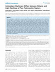 Research paper thumbnail of Antioxidant machinery differs between melanic and light nestlings of two polymorphic raptors