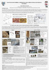 Research paper thumbnail of Nuevos datos sobre la presencia del broccatello di Spagna en Roma