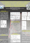 Research paper thumbnail of Discontinuidad poblacional durante el Holoceno en la Sabana de Bogotá Norte de Sur América: un estudio de la variación morfológica craneofacial empleando técnicas tradicionales y morfogeométricas