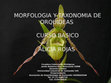 ORQUIDEAS ALICIA 2012 Cover Page