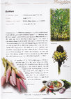 Research paper thumbnail of Malaysian Herbal Heritage - Men's Health (Kantan - Etlingera elatior)