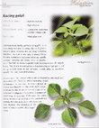 Research paper thumbnail of Malaysian Herbal Heritage - Men's Health (Kucing Galak - Acalypha indica)