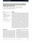 Macroecology of the host determines microecology of endobionts: protozoal faunas vary with wild ruminant feeding type and body mass Cover Page