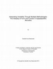 Interpreting Variability Through Multiple Methodologies: The Interplay of Form and Function in Epipalaeolithic Microliths Cover Page