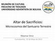 Research paper thumbnail of EL ALTAR DE SACRIFICIOS COMO MICROCOSMOS DEL SANTUARIO TERRENAL