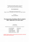 PhD THESIS: Precompensation of turbulence effects by adaptive optics: application to free-space optics Cover Page