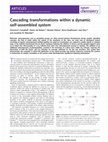 Research paper thumbnail of Cascading transformations within a dynamic self-assembled system