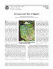 Plant Disease Cercospora Leaf Spot of Eggplant Cover Page