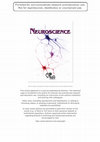 Research paper thumbnail of The temporal association between changes in primary sensory cortex and corticomotor output during muscle pain