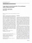 Copper-induced structural propensities of the amyloidogenic region of human prion protein Cover Page