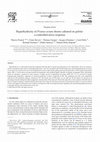 Research paper thumbnail of Hyperhydricity of Prunus avium shoots cultured on gelrite: a controlled stress response