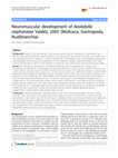 Neuromuscular development of Aeolidiella stephanieae Valdez, 2005 (Mollusca, Gastropoda, Nudibranchia) Cover Page