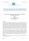 Research paper thumbnail of UTILIZATION OF RICE STRAW AND VERMICOMPOST IN VEGETABLE PRODUCTION VIA SOILLESS CULTURE