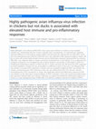 Research paper thumbnail of Highly pathogenic avian influenza virus infection in chickens but not ducks is associated with elevated host immune and pro-inflammatory responses