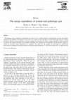 The energy expenditure of normal and pathologic gait Cover Page