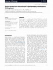 Research paper thumbnail of Sound production mechanism in pamphagid grasshoppers (Orthoptera)