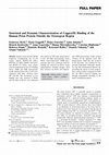 Structural and Dynamic Characterization of Copper(II) Binding of the Human Prion Protein Outside the Octarepeat Region Cover Page