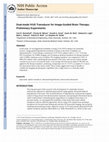 Research paper thumbnail of Dual-mode IVUS transducer for image-guided brain therapy: preliminary experiments