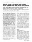 Research paper thumbnail of Molecular Analysis of the Pathway for the Synthesis of Thiol Tripeptides In the Model Legume Lotus Japonicus