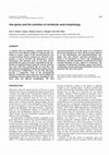 Research paper thumbnail of Hox genes and the evolution of vertebrate axial morphology