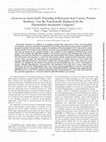 Research paper thumbnail of Lactococcus lactis fabH, Encoding  -Ketoacyl-Acyl Carrier Protein Synthase, Can Be Functionally Replaced by the Plasmodium falciparum Congener