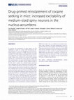 Drug-primed reinstatement of cocaine seeking in mice: increased excitability of medium-sized spiny neurons in the nucleus accumbens Cover Page