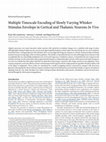 Research paper thumbnail of Multiple Timescale Encoding of Slowly Varying Whisker Stimulus Envelope in Cortical and Thalamic Neurons In Vivo